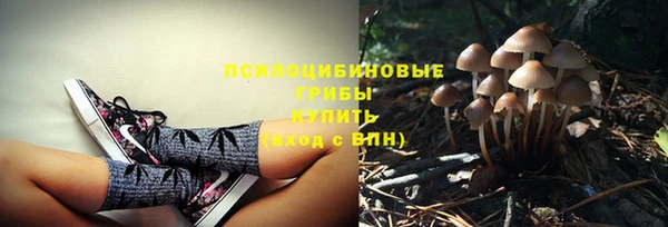 COCAINE Надым