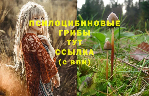 первитин Наволоки