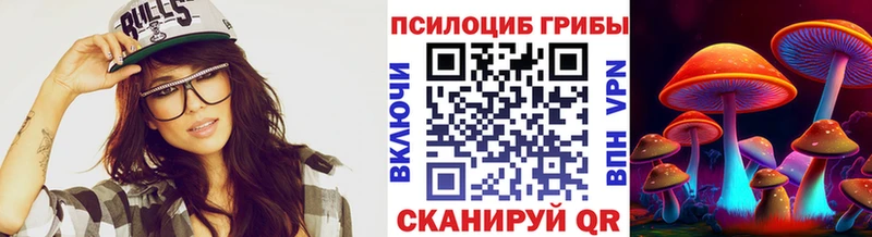 Галлюциногенные грибы Psilocybine cubensis  Пудож 